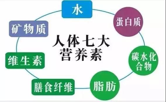 九九云商九九国茶九九宁夏九九农业九九联采九九云店