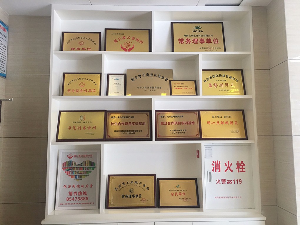 湖南九九云商信息科技有限公司
