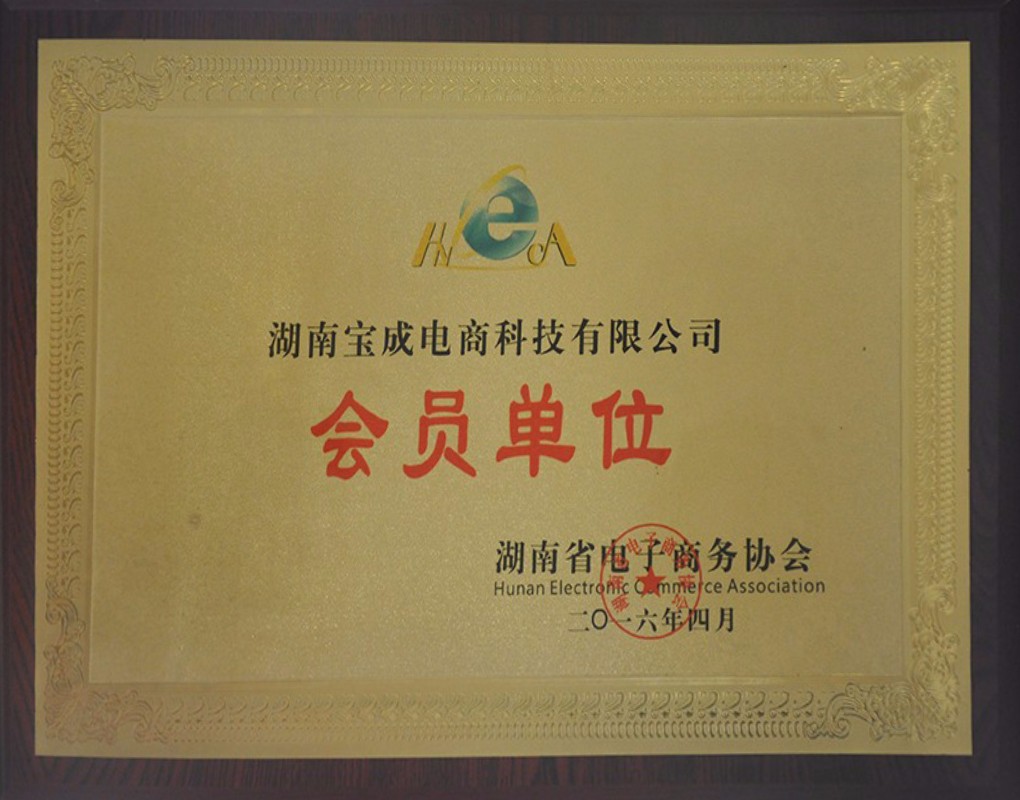 湖南九九云商信息科技有限公司